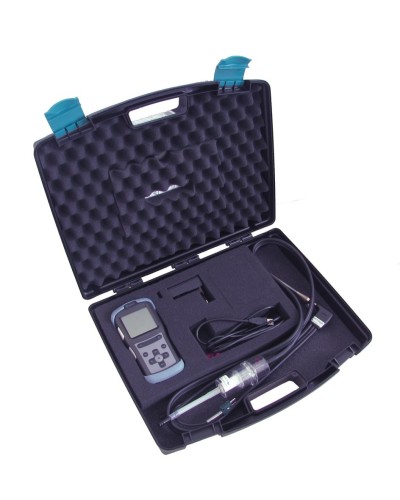 Газоанализатор Seitron CHEMIST 101 в Петрозаводске Технологические извещатели Pintop.ru